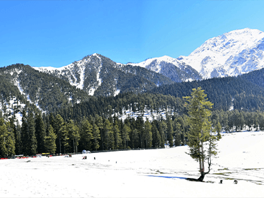 Kashmir Srinagar Gulmarg Tour