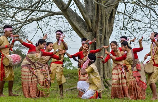 Assam Meghalaya Tour