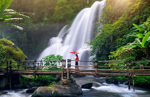 Bali Kuta Ubud Nusa Dua Tour