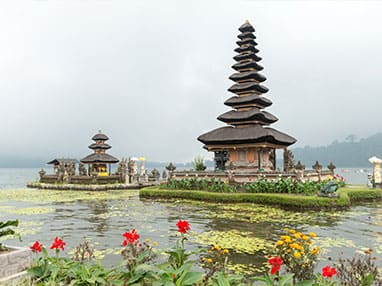 Bali Kuta Ubud Tour