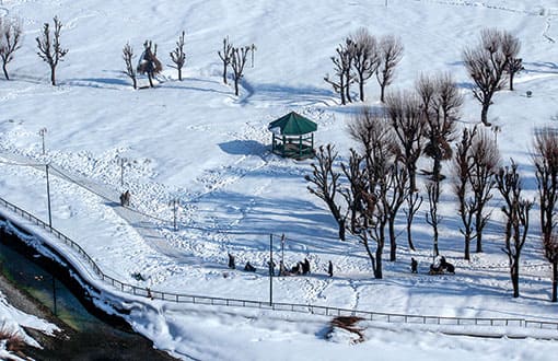 Kashmir Vaishnovdevi Tour