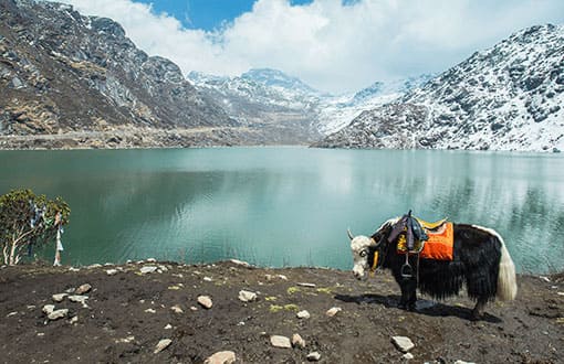 Sikkim Gangtok Tour