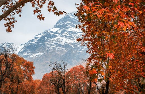 Kashmir Srinagar Gulmarg Sonmarg Pahalgam Vaishnov devi