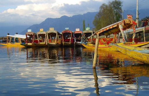 Kashmir Blissful Tour