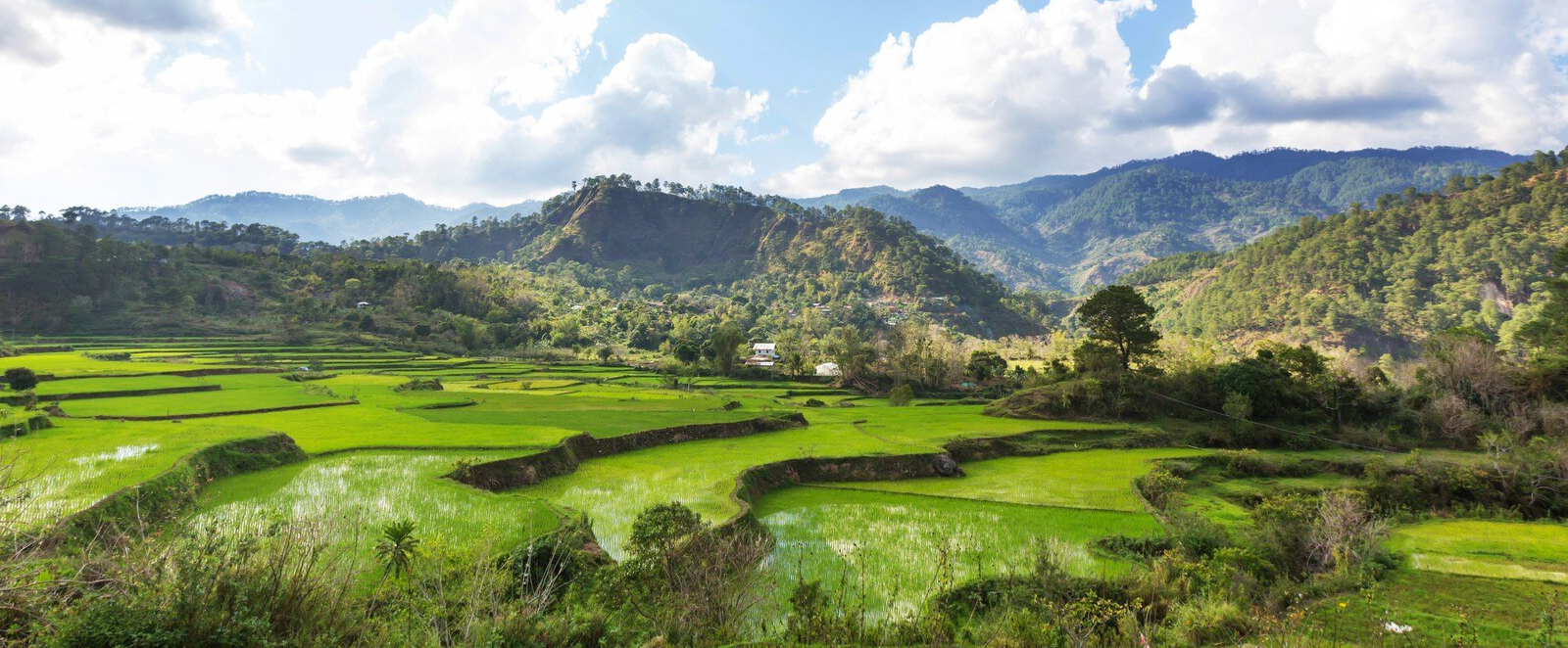 Assam & Meghalaya