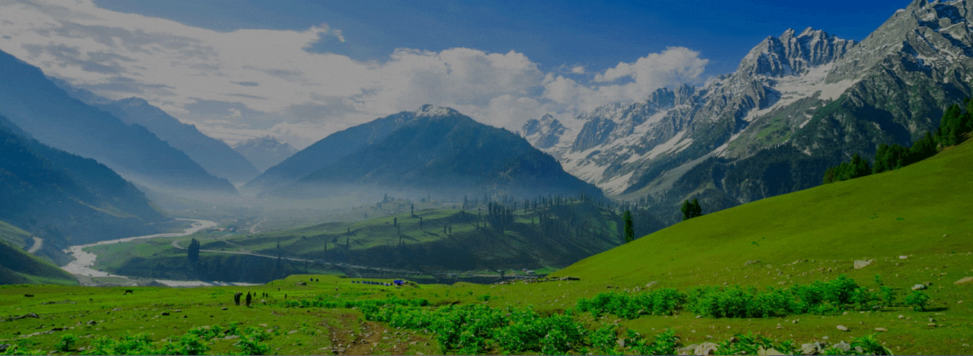 Kashmir